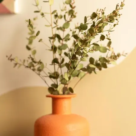 Roma Reva: Design Et Cinema ニーム