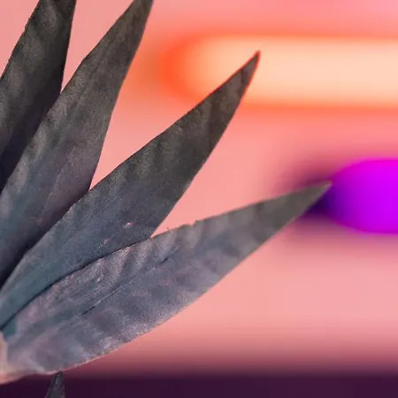 Roma Reva: Design Et Cinema ニーム